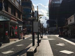 -宝健路步行街(Pedestrian Shopping Street)