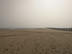 -日照海滨国家森林公园