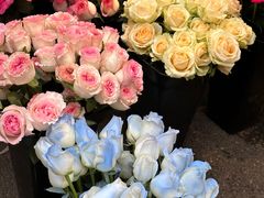 -循礼门鲜花花市(武汉循礼门店)