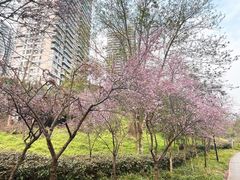 -重庆彩云湖湿地公园