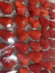 -Oasis Beauty水磨坊科技美肤中心