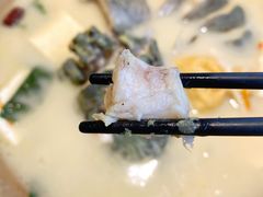 蒸汽长江黑洄鱼-滇小鱼·云南野生菌火锅(上杭路店)