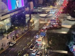 -小大董·烤鸭(观景餐厅·南京西路店)