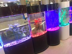 -红星美凯龙(上海沪南店)