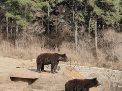 -沈阳森林动物园