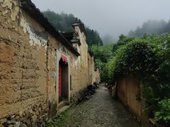 -杨家堂村