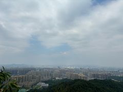 -天怡·鱼工厂(梅溪湖店)
