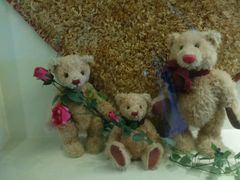 android_upload_pic-济州岛泰迪熊博物馆