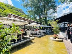 -Local泰莲庭(虹鳟鱼店)