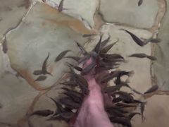 -天目湖涵田半山温泉