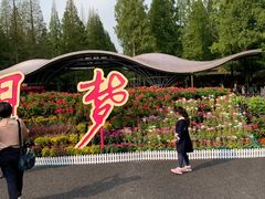 -东平国家森林公园