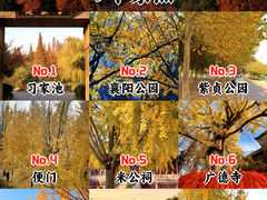 -习家池