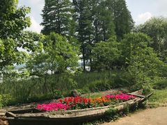 -东湖落雁景区