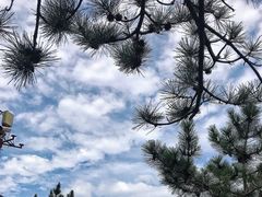 -海东龙宫寺