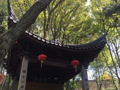 -灵岩山风景区