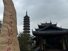 -碧海金沙