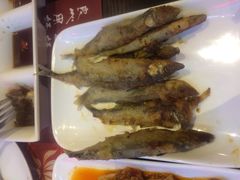 -尚雅铁板料理自助餐厅(乐松店)