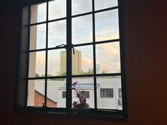 -滇野云南野生菌餐厅(陕西南路店)