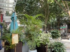 -小西家作•精致蛋糕(富力爱丁堡店)