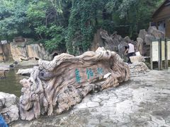 -燕塞湖鸟语林景区