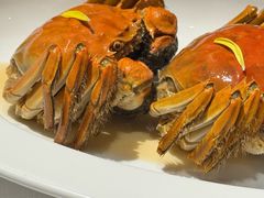 -食廬(浦东嘉里城店)