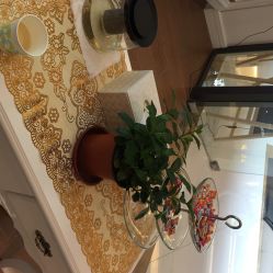 iphone_upload_pic-爱睫物语