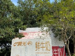 -光明农场大观园
