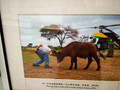 -罗红摄影艺术馆