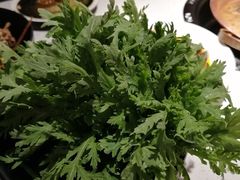 茼蒿菜-京韵胡同·酱香羊蝎子火锅涮肉(长寿路店)