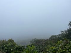 -海口火山口国家地质公园