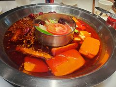 -孙毛肚火锅(春熙路店)