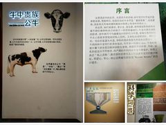 -君乐宝优致牧场