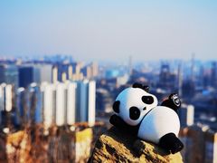 -红光山