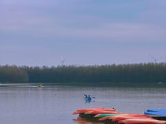 -上海海湾国家森林公园