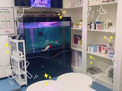 -特一安24小时宠物医院·骨科·中兽医