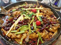 -老板恋上鱼(恒隆广场店)