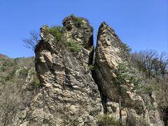 -牛背梁国家森林公园