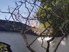 -上海醉白池公园