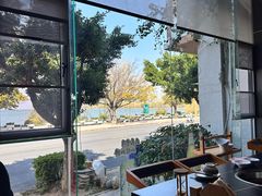 -野菌皇海景野生菌火锅(滨海大道店)