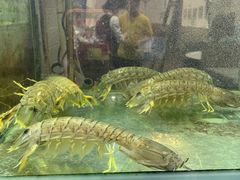 -凤城礼记鱼翅海鲜酒家(新马路总店)