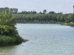 -丁香湖公园