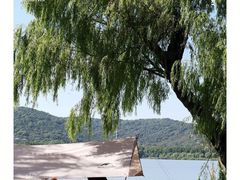 -东莞植物园