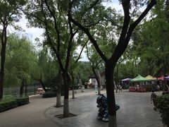 -莲湖公园