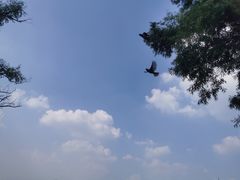 -长春市南湖公园