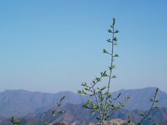 -圣莲山风景区