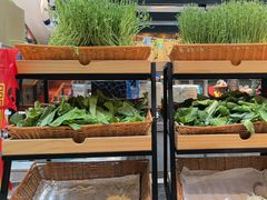 -圆顶阁西餐厅(郑州索菲特国际饭店 )