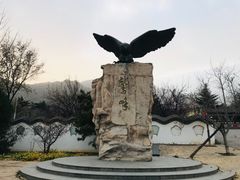 -北京鹫峰国家森林公园