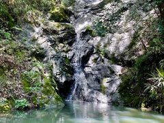 -宁波市保国寺古建筑博物馆