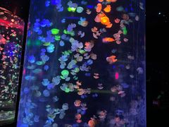 -邯郸海洋世界