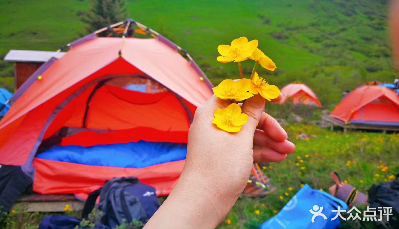 成都周边游[糖果]超级川西冷僻露营圣地[礼花]——鹧鸪山